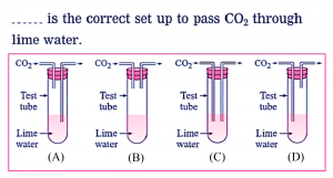 Question Image