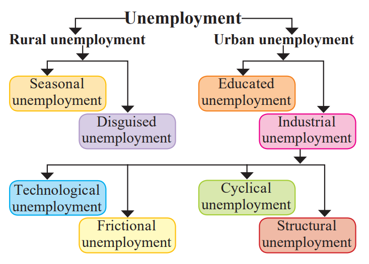 case studies on unemployment in india